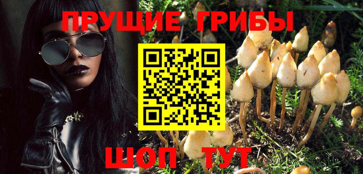 Вязьма  Псилоцибиновые грибы Psilocybine cubensis  Псилоцибиновые грибы Psilocybe  Вход с VPN 